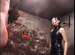 Gorgeous asian latex dominatrix whips him and puts clips on his sis...