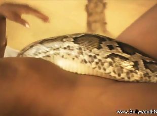 Indian brunette strips and plays with a snake