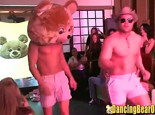 dançando, urso